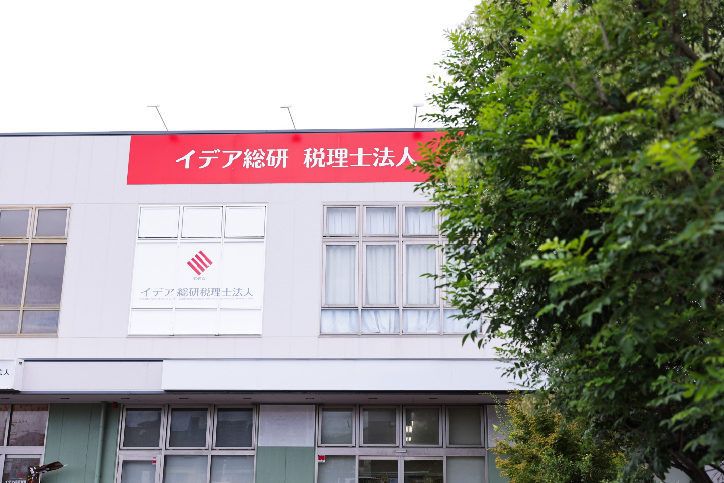 法人概要