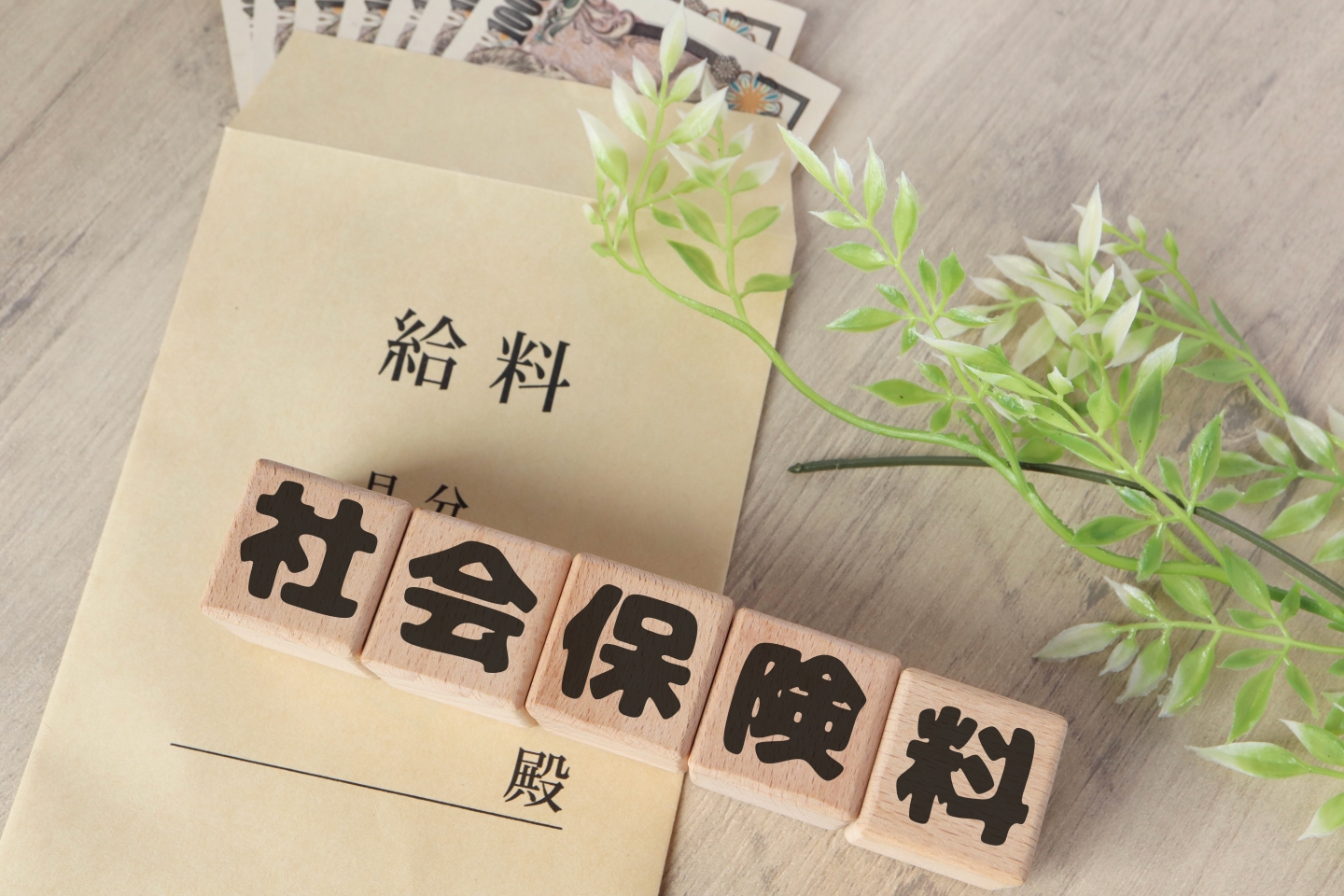 事前確定届出給与の支給で法人税も社会保険料も下がる？経費にできる3つの条件 | 節税について